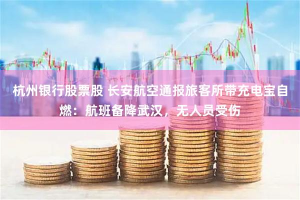 杭州银行股票股 长安航空通报旅客所带充电宝自燃：航班备降武汉，无人员受伤